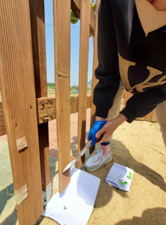 방부목 시료채취 사진