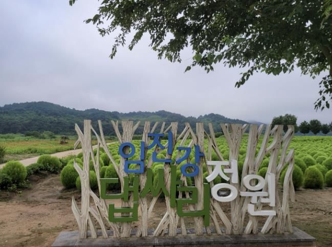 연천군, 중면 임진강 댑싸리 정원 개장