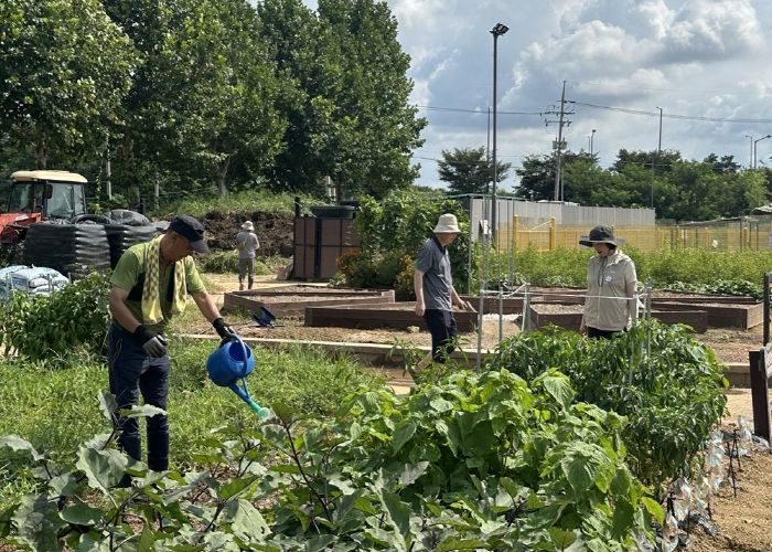 평택시 농업기술센터, ‘시민들과 함께한 가을 김장채소 재배 교육’ 진행