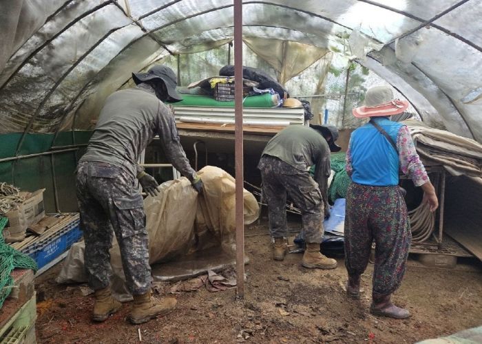 군장병들이 침수 피해를 입은 비닐하우스 내 쓰레기를 치우고 있다.