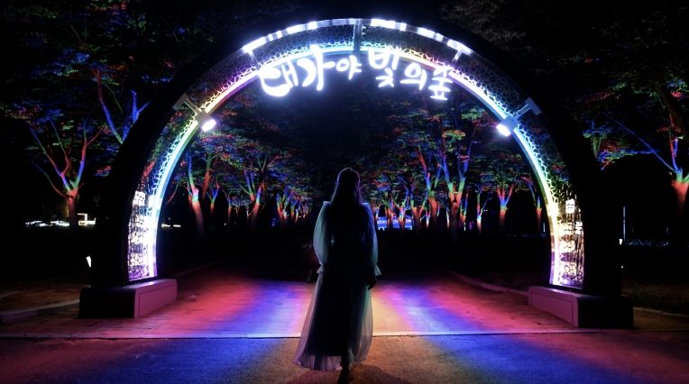 『고령의 밤하늘을 수놓는 별빛과도 같은 아름다움』-대가야 수목원 야간경관 관광 명소로 거듭나