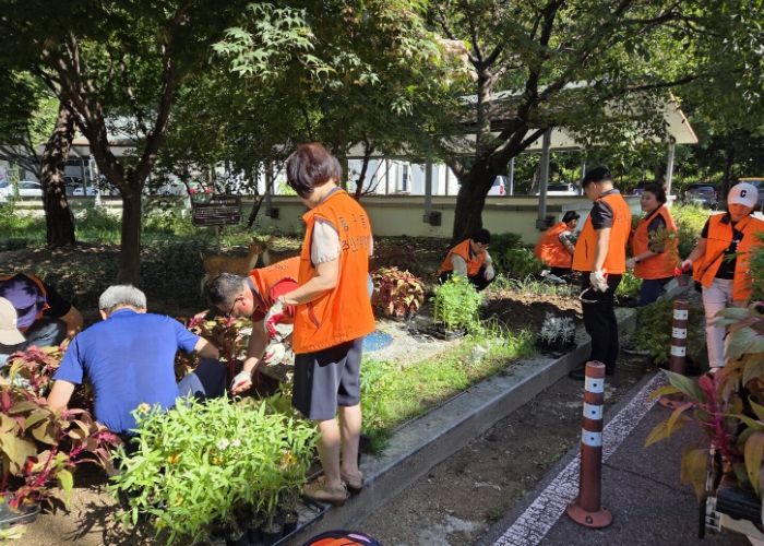 ‘가을 정취 가득한 구리시 동구동’ 쌈지공원에 가을꽃 활짝
