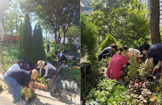 구리시 인창동, 가을꽃 식재로 아름다운 거리 환경 조성