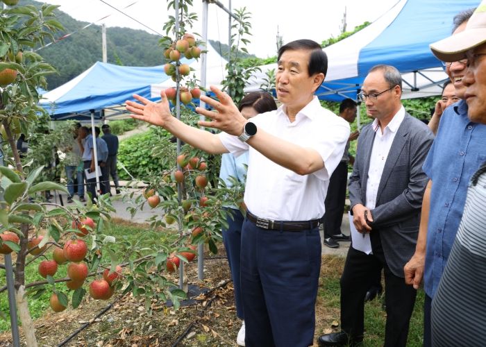 충주시 중생종 사과 이지플 현장평가회 개최(맨왼쪽 조길형 시장이 이지플 사과를 보고있다)