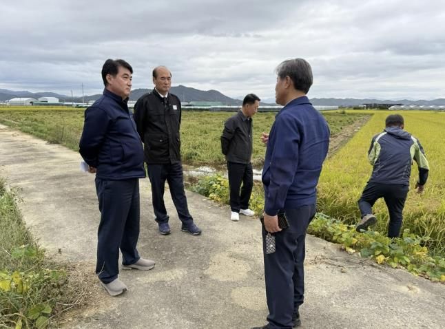 강영석 상주시장, 사벌국면 가루쌀 등 벼 피해 현장 찾아 농가 위로