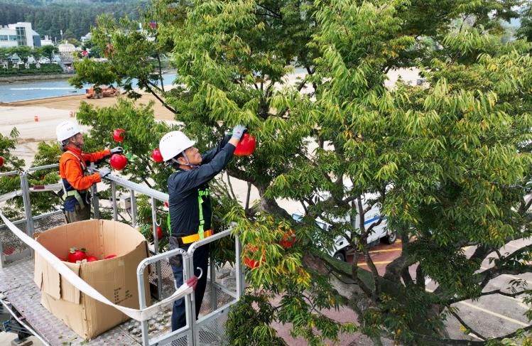 가을 축제의 정수‘제19회 청송사과축제’ 본격 준비 태세 돌입