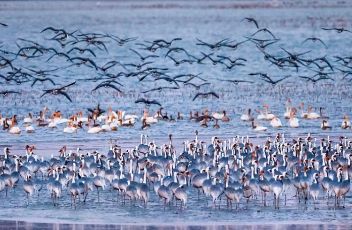 경남 창원(주남저수지)