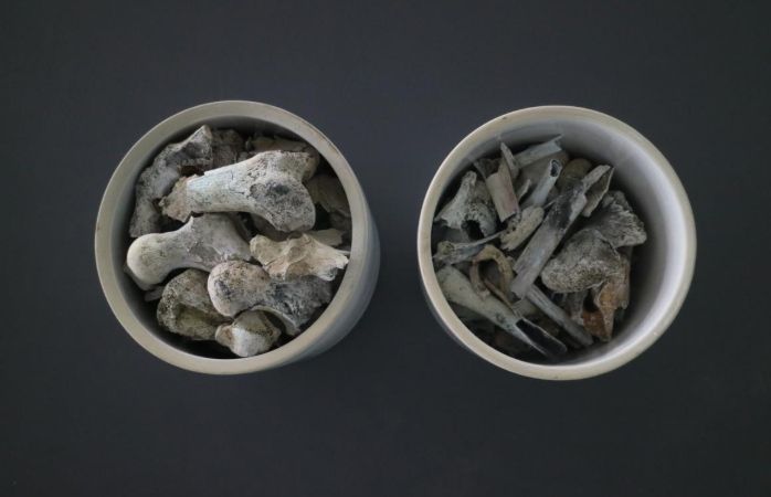 2005년 3월 경상북도 포항시 북구 흥해읍 도음산 정상에서 발굴한 국군 제8사단 10연대 소속의 고(故) 양이한 일병의 유해