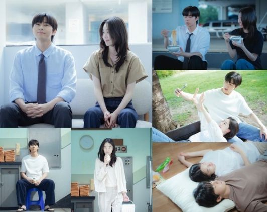 사진 제공: SLL, 아이엔, 글뫼