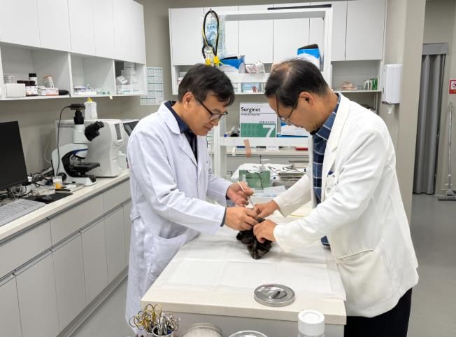 순천시반려동물문화센터 공공진료소에서 반려동물을 진료하고 있는 모습