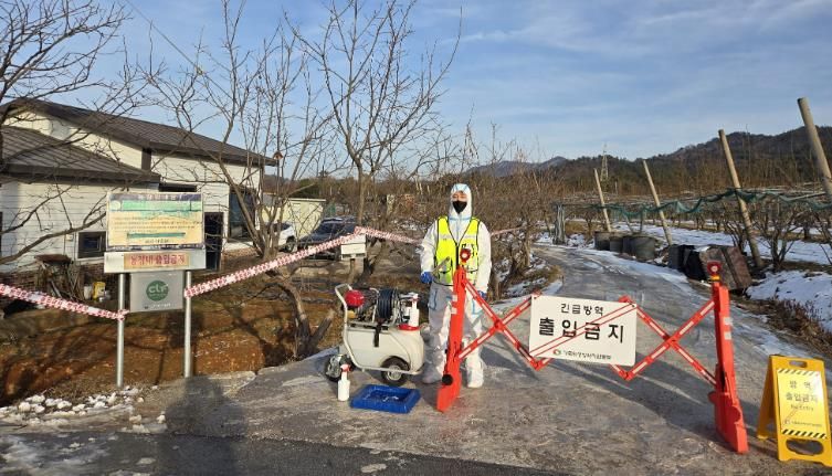 발생농장 방역현장 사진
