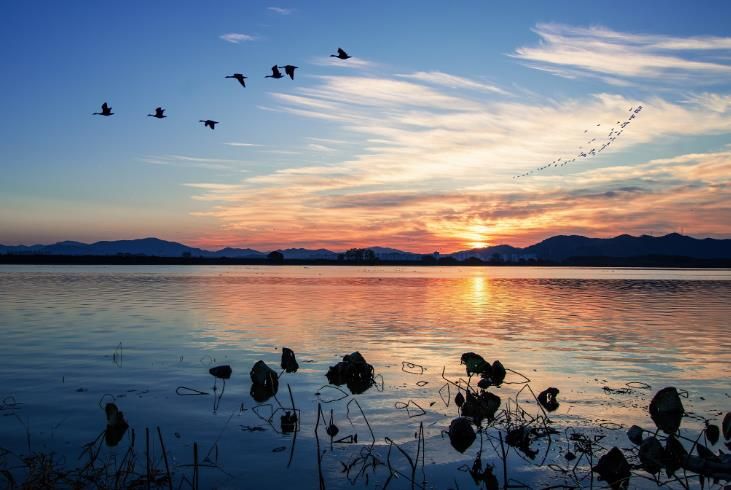 주남저수지 전경