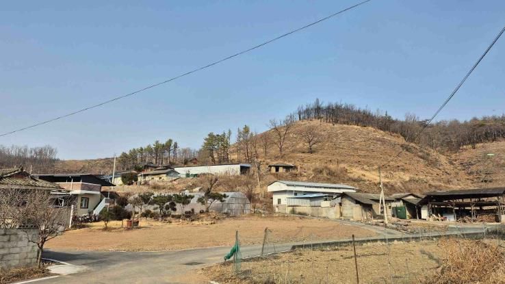 의성군, 산불피해지 위험목 제거사업 361ha 무사고 완료