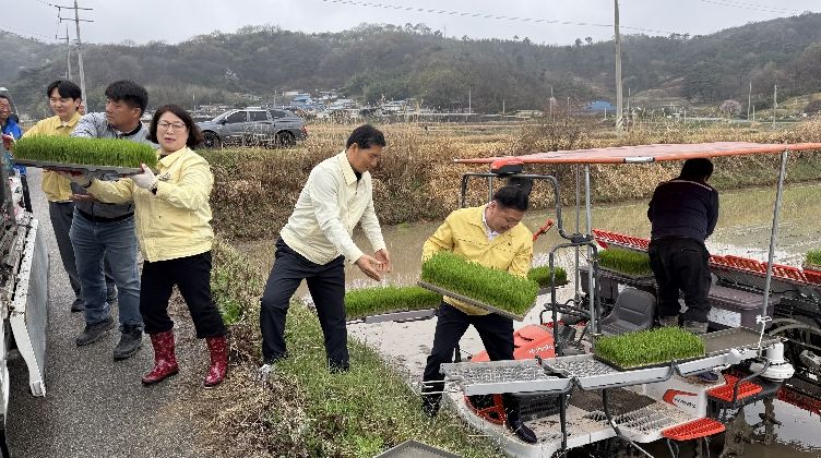 모내기 현장 사진(순창군의회).