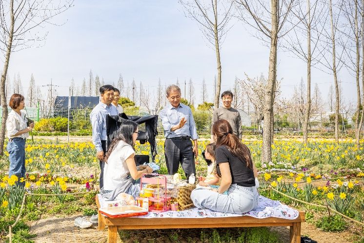 계양아라온 수선화 절정... 윤환 구청장 현장 점검